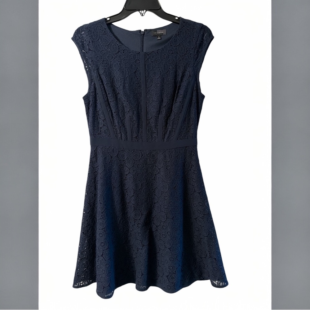 The Limited Navy Lace Mini Dress
